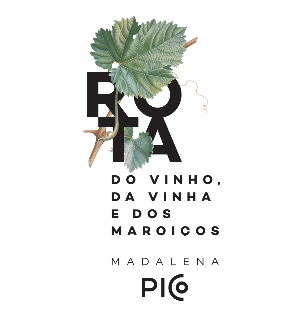 Rota do Vinho, da Vinha e dos Maroiços